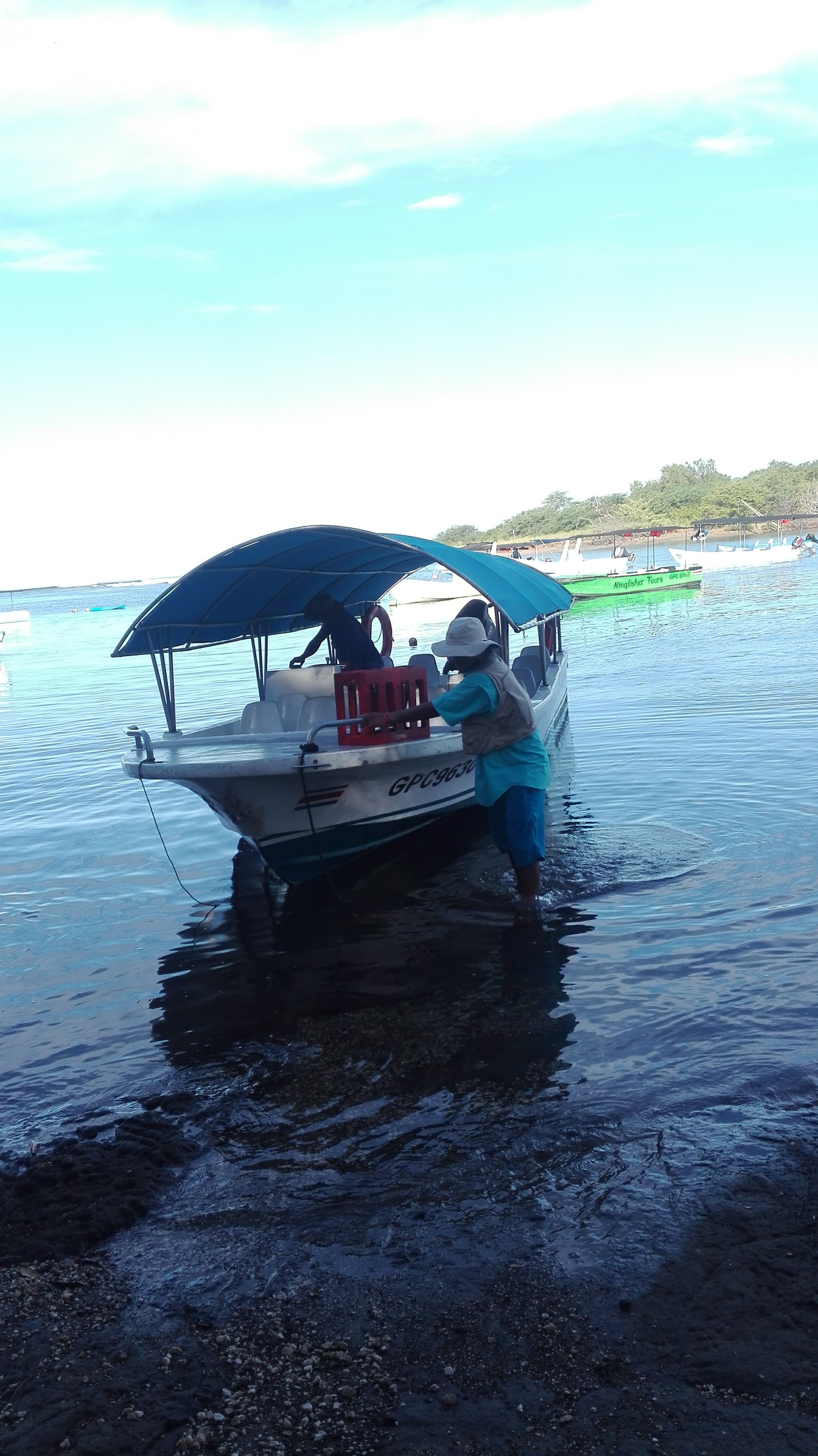 Tamarindo Estuary